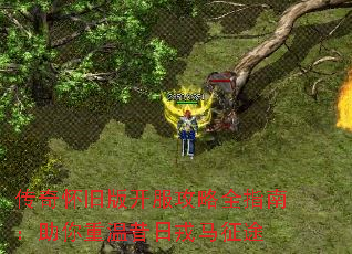 ���滳�ɰ濪������ȫָ�ϣ�������������������;