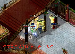 传奇新手入门:从小白到大神 传奇新手入门:从小白到大神