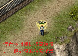 ����˽���һ����淭����һ���ưԵĶ����ؼ�