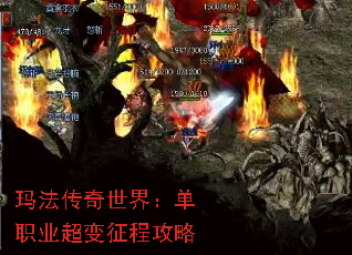 �귨�������磺��ְҵ�������̹���