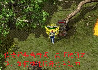 ���澭��ϻ��棺���ֽ���֮·����ο���������ɫս��