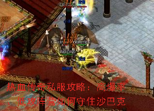 ��Ѫ����˽�����ԣ��߱��ʡ��͹���Ӫ�����סɳ�Ϳ�