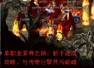 ��ְҵ����֮·�������ٳɹ��ԣ��봫���뢹����۷�