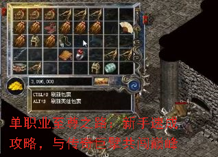 ��ְҵ����֮·�������ٳɹ��ԣ��봫���뢹����۷�