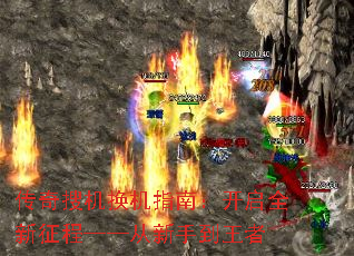 �����ѻ�����ָ�ϣ�����ȫ�����̡��������ֵ�����