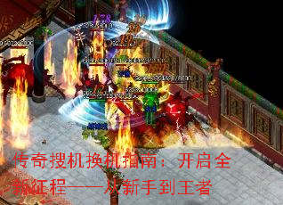 �����ѻ�����ָ�ϣ�����ȫ�����̡��������ֵ�����