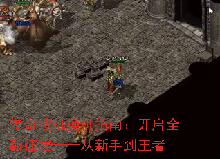 �����ѻ�����ָ�ϣ�����ȫ�����̡��������ֵ�����