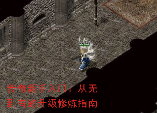 �����������ţ����޵��е���������ָ��