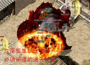 九尾狐单职业传奇:你必须知道的通关秘籍 九尾狐单职业传奇:你必须知道的通关秘籍