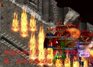 ��Ѫ�������Σ����ֿ��Ĺ��ԣ���Ʒװ����ο��ٻ��