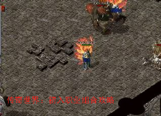 �������磺����ְҵ��Ϲ���