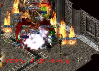 �������磺����ְҵ��Ϲ���