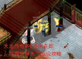 ��������WPE�����ڼ����ư��������¶�������