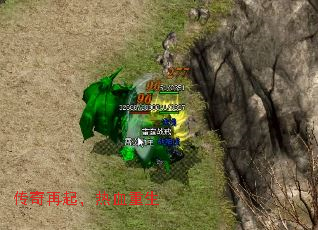 ����������Ѫ����