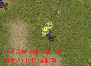 ʢ�����ǹ��Ա��䣺���������ŵ�ɳ�ǳư�