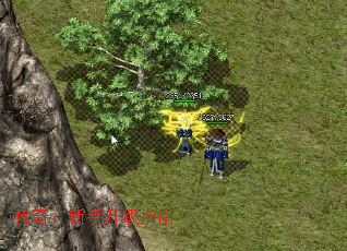 ���棺��������ָ��