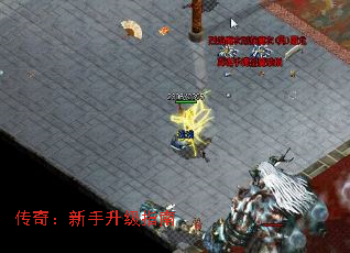 ���棺��������ָ��