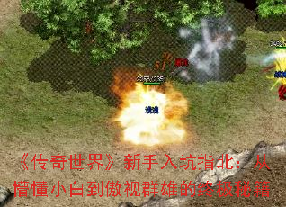 ���������硷�������ָ�������¶�С�׵�����Ⱥ�۵��ռ��ؼ�