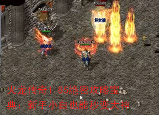 火龙传奇1.85绝密攻略宝典:新手小白也能秒变大神 火龙传奇1.85绝密攻略宝典:新手小白也能秒变大神