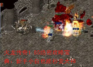 火龙传奇1.85绝密攻略宝典:新手小白也能秒变大神 火龙传奇1.85绝密攻略宝典:新手小白也能秒变大神