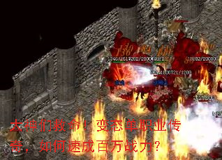 �����Ǿ�������̬��ְҵ���棬����ٳɰ���ս����