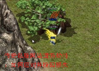 传奇私服网站遭遇劫持:如何应对并挽回损失 传奇私服网站遭遇劫持:如何应对并挽回损失