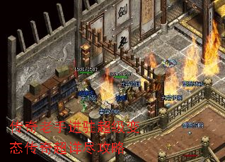 �������ֽ�פ������̬���泬�꾡����