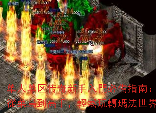 ���˵��������������T�؂�ָ�ϣ��Ĳ��B�����֣��p����D��������