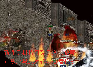 �¿��ֻ������������Ź��ԣ��Ӳ��񵽴��񣬱ؿ�ָ��