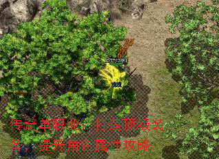 ���浥ְҵ�����춥��װ����������ɫ���Թ���