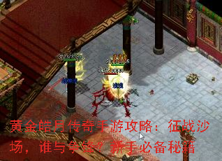 �ƽ���´������ι��ԣ���սɳ����˭�����棿���ֱر��ؼ�