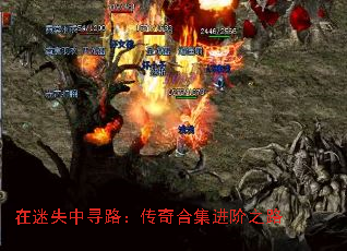 在迷失中寻路:传奇合集进阶之路 在迷失中寻路:传奇合集进阶之路