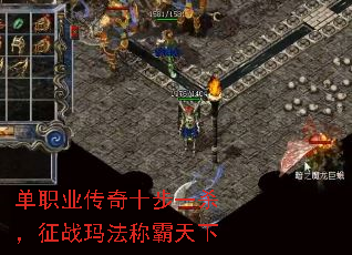 ��ְҵ����ʮ��һɱ����ս�귨�ư�����