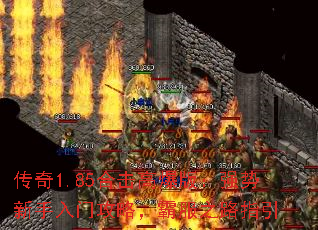 ����1.85�ϻ��߱��棺ǿ���������Ź��ԣ��Է�֮·ָ��