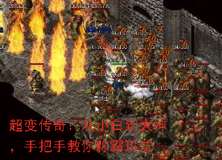 超变传奇:从小白到大神,手把手教你称霸玛法 超变传奇:从小白到大神,手把手教你称霸玛法