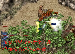 �������繥�Դ�ȫ��ˢ�ֱ��������ر�ָ��