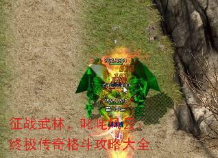 征战武林,叱咤风云:终极传奇格斗攻略大全 征战武林,叱咤风云:终极传奇格斗攻略大全