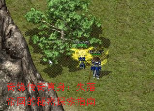 ��Ե����������ʧ��۹�������̽��ָ��