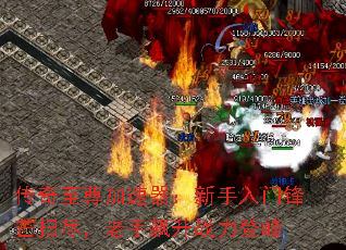 ����������������������ŷ�âɨ�����������ս���Ƿ�