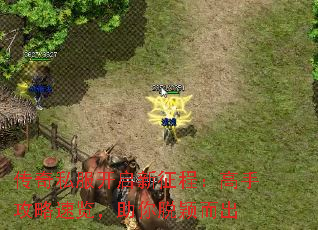 传奇私服开启新征程:高手攻略速览,助你脱颖而出 传奇私服开启新征程:高手攻略速览,助你脱颖而出