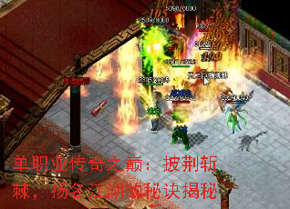 ��ְҵ����֮�ۣ�����ն���������������ؾ�����