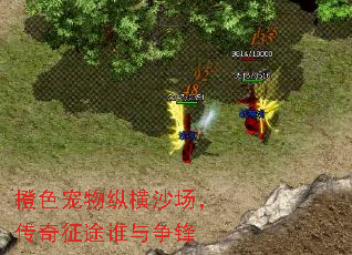 橙色宠物纵横沙场,传奇征途谁与争锋 橙色宠物纵横沙场,传奇征途谁与争锋