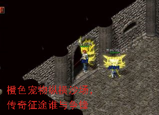 橙色宠物纵横沙场,传奇征途谁与争锋 橙色宠物纵横沙场,传奇征途谁与争锋