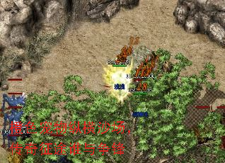 橙色宠物纵横沙场,传奇征途谁与争锋 橙色宠物纵横沙场,传奇征途谁与争锋