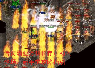 �����ҵ���س��棺����ɳ������������ָ��