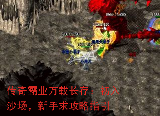 �����ҵ���س��棺����ɳ������������ָ��