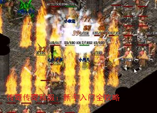 ���洫��˽������������ȫ����