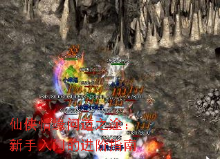 仙侠情缘问道之途:新手入门的进阶指南 仙侠情缘问道之途:新手入门的进阶指南