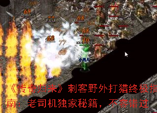 《传奇归来》刺客野外打猎终极指南:老司机独家秘籍,不容错过 《传奇归来》刺客野外打猎终极指南:老司机独家秘籍,不容错过