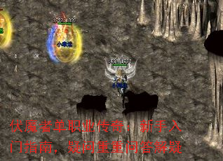 ��ħ�ߵ�ְҵ���棺��������ָ�ϣ����������ʴ����